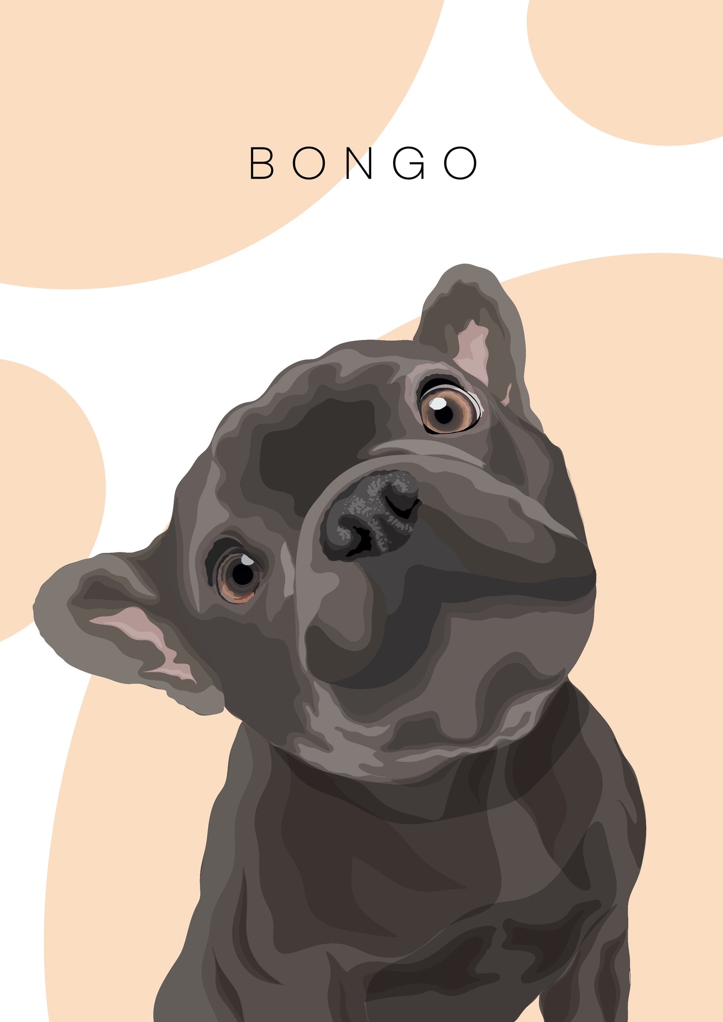 Standard Illustration