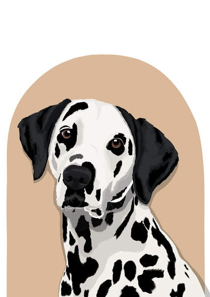 Standard Illustration