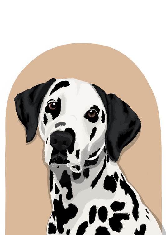 Standard Illustration